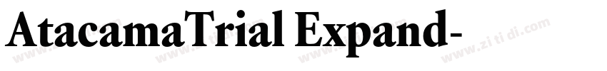 AtacamaTrial Expand字体转换